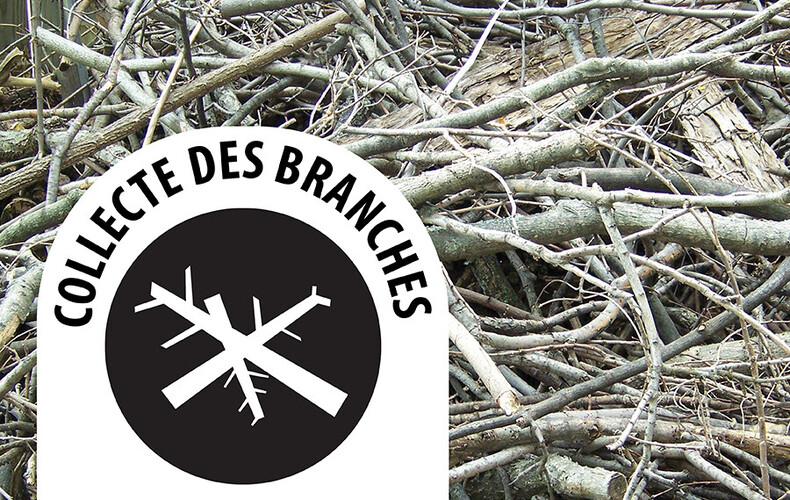Collecte de branches le 26 octobre
